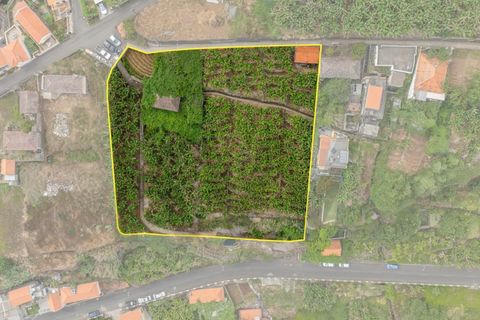 Helårsgrund i Calheta, Madeira, Calheta - € 720.000 | Ref: KWPT-016678 - foto 8