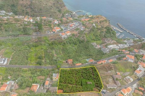 Helårsgrund i Calheta, Madeira, Calheta - € 720.000 | Ref: KWPT-016678 - foto 10
