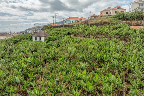Helårsgrund i Calheta, Madeira, Calheta - € 720.000 | Ref: KWPT-016678 - foto 11