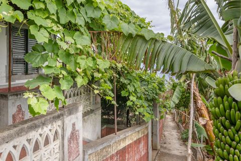 Helårsgrund i Calheta, Madeira, Calheta - € 720.000 | Ref: KWPT-016678 - foto 12