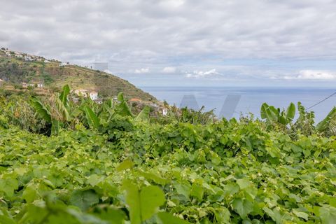 Helårsgrund i Calheta, Madeira, Calheta - € 720.000 | Ref: KWPT-016678 - foto 14