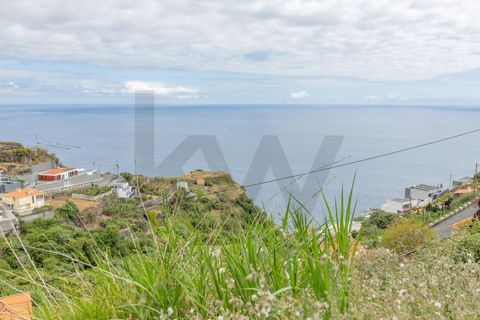 Helårsgrund i Calheta, Madeira, Calheta - € 720.000 | Ref: KWPT-016678 - foto 15