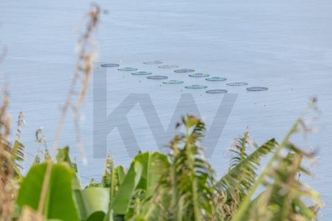 Helårsgrund i Calheta, Madeira, Calheta - € 720.000 | Ref: KWPT-016678 - foto 16