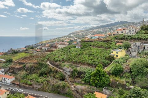 Helårsgrund i Calheta, Madeira, Calheta - € 720.000 | Ref: KWPT-016678 - foto 17