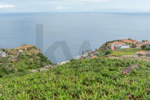 Helårsgrund i Calheta, Madeira, Calheta - € 720.000 | Ref: KWPT-016678 - foto 24