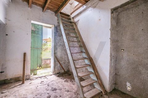 Byhus i Calheta, Madeira, Calheta - € 160.000 | Ref: KWPT-019879 - foto 12