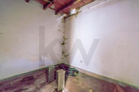 Byhus i Calheta, Madeira, Calheta - € 160.000 | Ref: KWPT-019879 - foto 14
