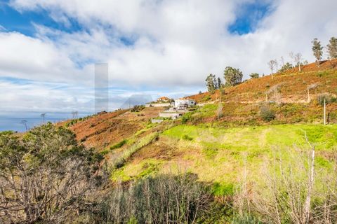 Byhus i Calheta, Madeira, Calheta - € 160.000 | Ref: KWPT-019879 - foto 17