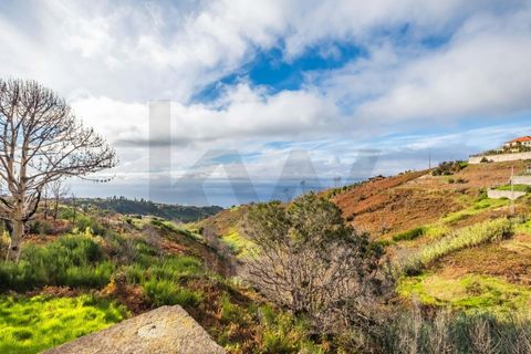 Byhus i Calheta, Madeira, Calheta - € 160.000 | Ref: KWPT-019879 - foto 18