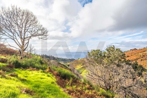 Byhus i Calheta, Madeira, Calheta - € 160.000 | Ref: KWPT-019879 - foto 19