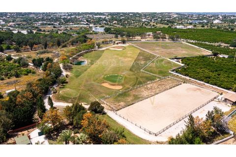 Landejendom i Olhao, Faro, Olhao - € 4.995.000 | Ref: TGA_9 - foto 16