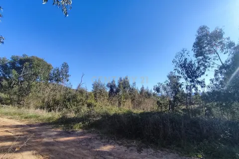 Helårsgrund i Alcobaca, Leiria, Alcobaca - € 16.000 | Ref: 0563-01808 - foto 2