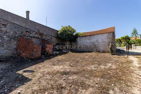 Villa i Alcobaca, Leiria, Alcobaca - € 55.000 | Ref: 0563-01700 - foto 7