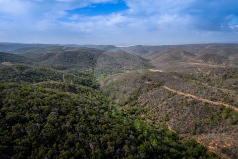 Helårsgrund i Bordeira, Faro, Bordeira - € 1.350.000 | Ref: ON-123041083-5 - foto 5