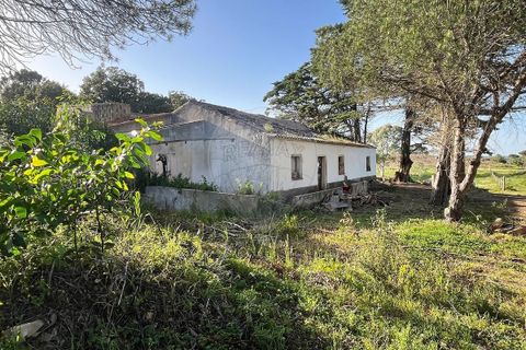 Helårsgrund i Bordeira, Faro, Bordeira - € 650.000 | Ref: ON-123041083-4 - foto 11