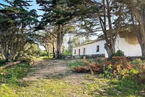 Helårsgrund i Bordeira, Faro, Bordeira - € 650.000 | Ref: ON-123041083-4 - foto 12