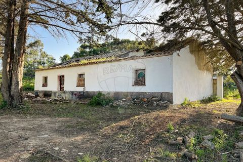 Helårsgrund i Bordeira, Faro, Bordeira - € 650.000 | Ref: ON-123041083-4 - foto 13