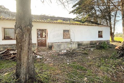 Helårsgrund i Bordeira, Faro, Bordeira - € 650.000 | Ref: ON-123041083-4 - foto 14