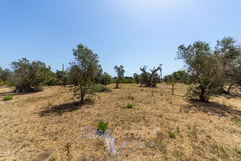Villa i Matino, Lecce, Matino - € 129.000 | Ref: MNGP-139 - foto 18