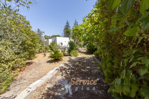 Villa i Matino, Lecce, Matino - € 129.000 | Ref: MNGP-139 - foto 20
