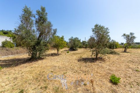 Villa i Matino, Lecce, Matino - € 129.000 | Ref: MNGP-139 - foto 25