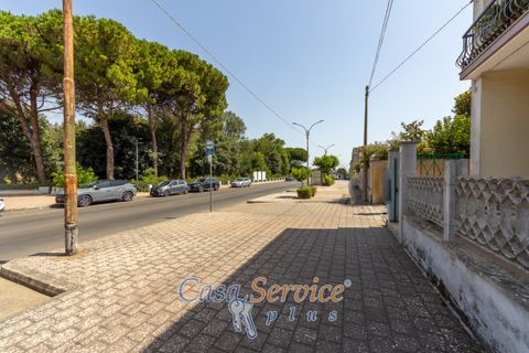 Leilighet i Alezio, Lecce, Alezio - € 165 000 | Ref: ALIL-MB-165 - foto 38