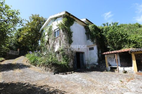 Villa i Sintra, Lisbon, Sintra - € 665.000 | Ref: CP-1016 M - foto 4