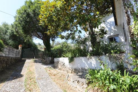 Villa i Sintra, Lisbon, Sintra - € 665.000 | Ref: CP-1016 M - foto 5