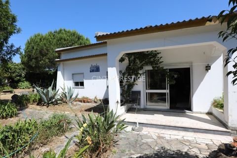 Villa i Sintra, Lisbon, Sintra - € 665.000 | Ref: CP-1016 M - foto 6