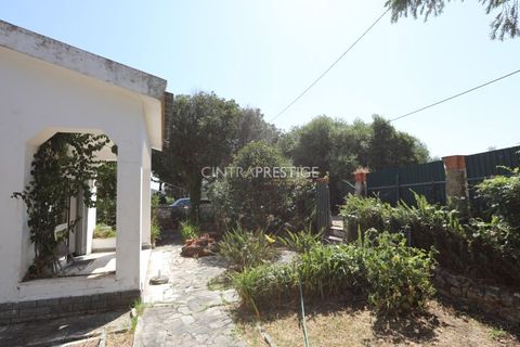 Villa i Sintra, Lisbon, Sintra - € 665.000 | Ref: CP-1016 M - foto 21
