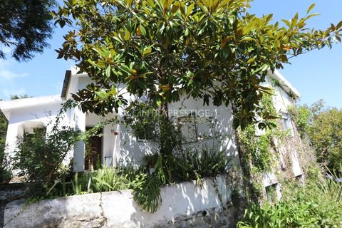 Villa i Sintra, Lisbon, Sintra - € 665.000 | Ref: CP-1016 M - foto 22