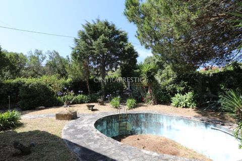 Villa i Sintra, Lisbon, Sintra - € 665.000 | Ref: CP-1016 M - foto 23