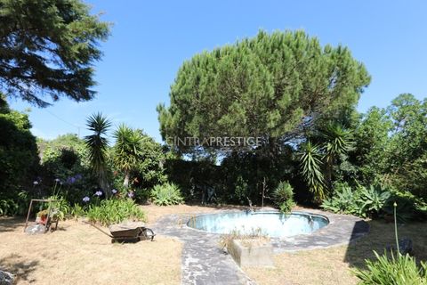 Villa i Sintra, Lisbon, Sintra - € 665.000 | Ref: CP-1016 M - foto 24