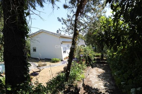 Villa i Sintra, Lisbon, Sintra - € 665.000 | Ref: CP-1016 M - foto 25