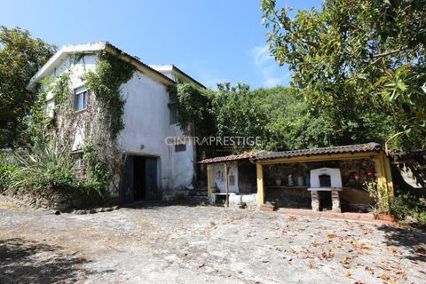 Villa i Sintra, Lisbon, Sintra - € 665.000 | Ref: CP-1016 M - foto 26