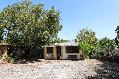 Villa i Sintra, Lisbon, Sintra - € 665.000 | Ref: CP-1016 M - foto 27