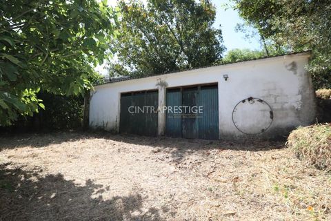 Villa i Sintra, Lisbon, Sintra - € 665.000 | Ref: CP-1016 M - foto 28