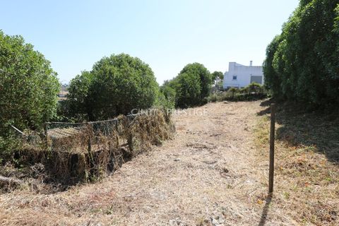 Villa i Sintra, Lisbon, Sintra - € 665.000 | Ref: CP-1016 M - foto 33