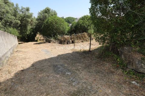 Villa i Sintra, Lisbon, Sintra - € 665.000 | Ref: CP-1016 M - foto 34