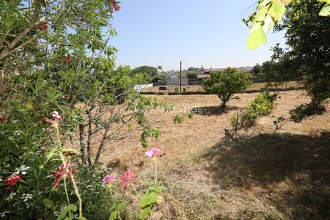Villa i Sintra, Lisbon, Sintra - € 665.000 | Ref: CP-1016 M - foto 35