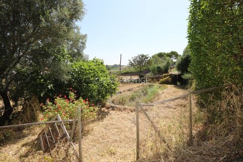 Villa i Sintra, Lisbon, Sintra - € 665.000 | Ref: CP-1016 M - foto 36