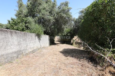 Villa i Sintra, Lisbon, Sintra - € 665.000 | Ref: CP-1016 M - foto 37