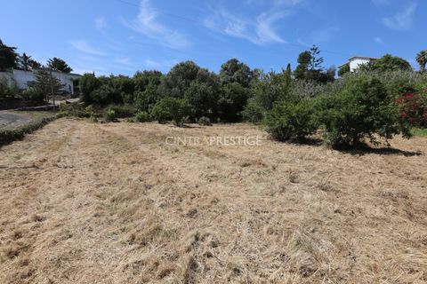 Villa i Sintra, Lisbon, Sintra - € 665.000 | Ref: CP-1016 M - foto 38
