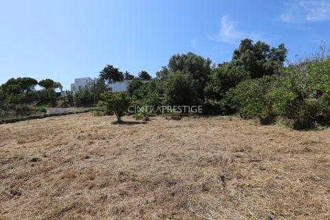 Villa i Sintra, Lisbon, Sintra - € 665.000 | Ref: CP-1016 M - foto 39
