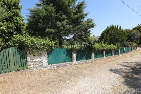 Villa i Sintra, Lisbon, Sintra - € 665.000 | Ref: CP-1016 M - foto 40