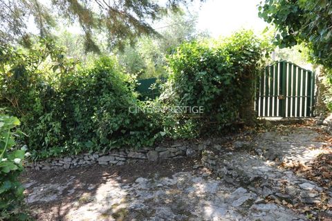 Villa i Sintra, Lisbon, Sintra - € 665.000 | Ref: CP-1016 M - foto 41