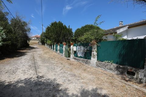Villa i Sintra, Lisbon, Sintra - € 665.000 | Ref: CP-1016 M - foto 42