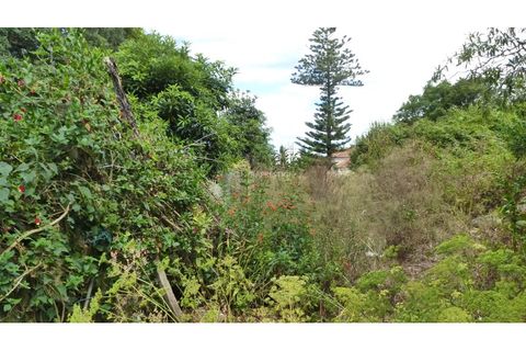 Helårsgrund i Sintra, Lisbon, Sintra - € 350.000 | Ref: CP-1017M - foto 4