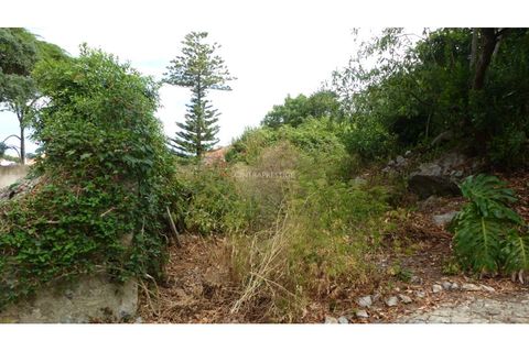 Helårsgrund i Sintra, Lisbon, Sintra - € 350.000 | Ref: CP-1017M - foto 5