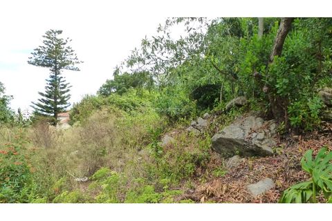 Helårsgrund i Sintra, Lisbon, Sintra - € 350.000 | Ref: CP-1017M - foto 6